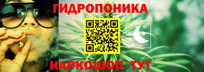 ГАЛЛЮЦИНОГЕННЫЕ ГРИБЫ Обь
