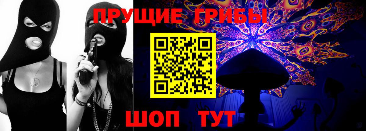 Псилоцибиновые грибы Psilocybe  Вход с VPN  Сорочинск  Псилоцибиновые грибы MAGIC MUSHROOMS 