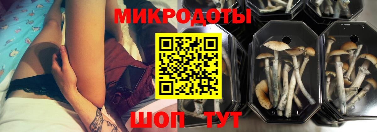 Псилоцибиновые грибы мицелий Сорочинск